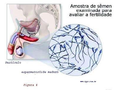 Amostra de s�men